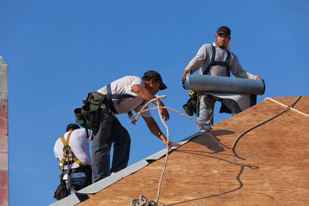 Professional Roofing Contractor in Allendale, CA