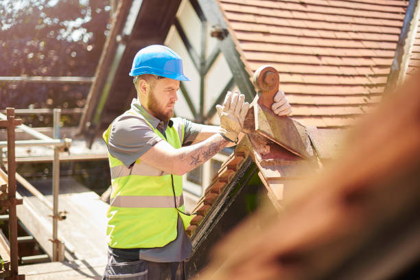 Best Local Roofing Companies  in Allendale, CA