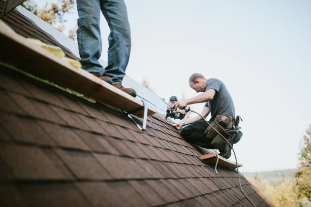 Best Shingle Roofing Installation  in Allendale, CA